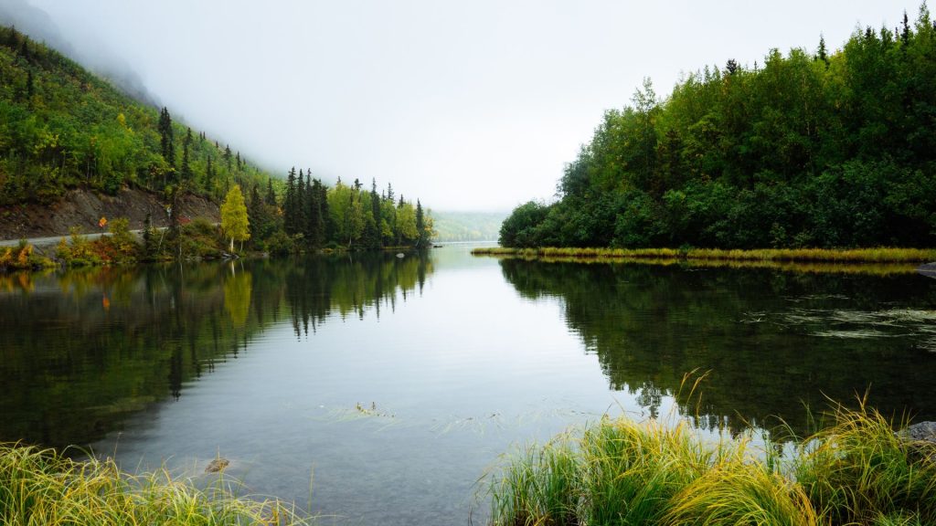 Calm river reflecting dense evergreen forest on both banks under a misty overcast sky, evoking stillness and quiet solitude