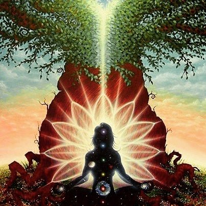 Spiritual illustration of a meditating figure with glowing chakras seated beneath a radiant lotus and cosmic tree, symbolizing enlightenment and universal connection