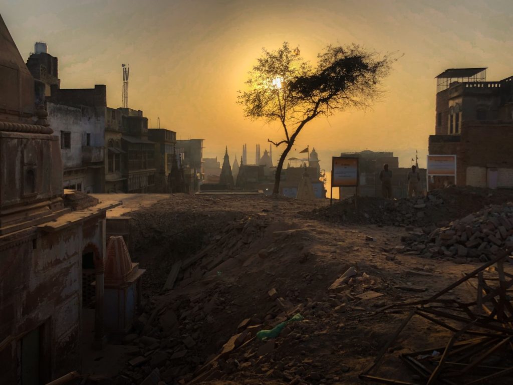 A lone bare tree silhouetted against a hazy golden sunset over a rubble-strewn urban landscape with ancient temple spires visible in the distance